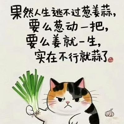 zmzzyzjx's profile picture. 记录生活
