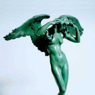 zoetrope2026's profile picture. 