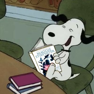 stikisreading's profile picture. 