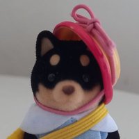 kayi (@cogimyunm) 's Twitter Profile