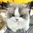 pinknalightmyp's profile image