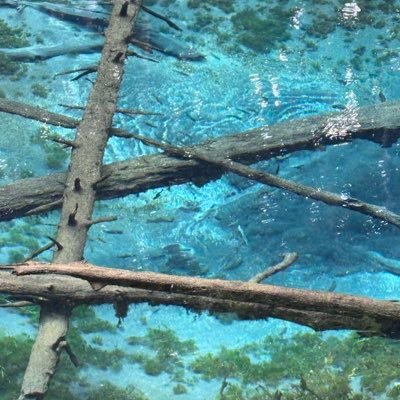 I9POdnboBa62478's profile picture. 高1