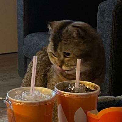 Danila_Bibichev's profile picture. esports lover