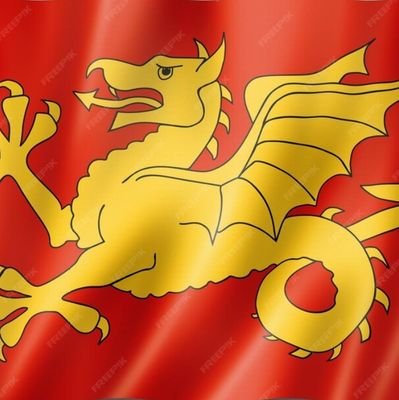 ‘Rise like Lions after slumber
In unvanquishable number,
Shake your chains to earth like dew
Which in sleep had fallen on you –
Ye are many – they are few.’