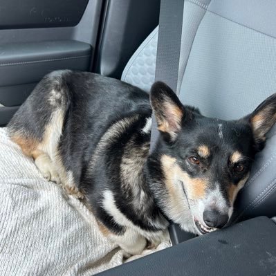 RadarLove2025's profile picture. 