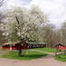 Hunt Hill Audubon (@hunthill) Twitter profile photo