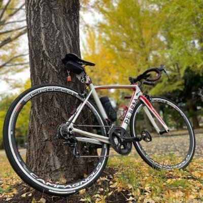 Trek、Cannondale、De Rosa、メロンパンが大好きな関西人🥹❤️
週末はチャリで風を感じながら走るのがいちばんの幸せ🚴♀️✨
自転車仲間とつながるのが大好きなので、気軽にフォローしてね🩷
Trek Nick❤️Trek Domane SL6🖤
Cannondale Quick🖤
De Ros