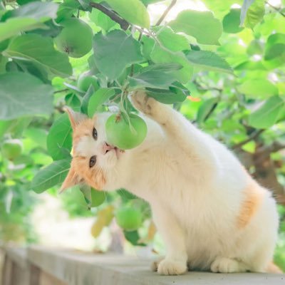 Kivey66's profile picture. 下雨吧