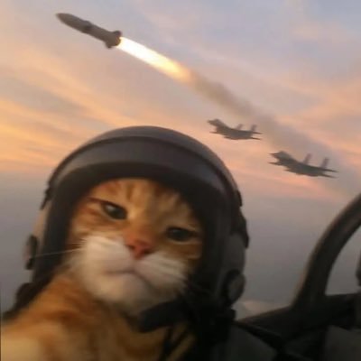 JerryXurl's profile picture. 