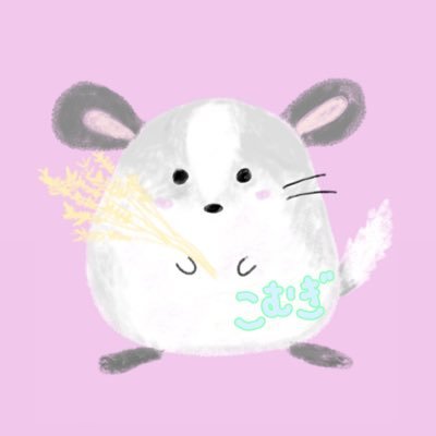 🎂2025.6.11/🏠2025.9.7チンチラパイド🐭こむぎ♂¦新米チラ主🔰あや¦ i*▶▷@cotaro0430¦無言フォロー失礼します🙏🏻