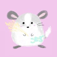🤍ྀིチンチラのこむぎ🐭🤍ྀི@あや (@chilla_komugi) Twitter profile photo