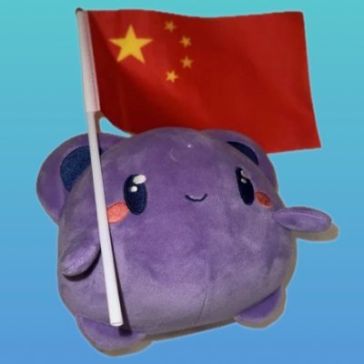@pett_ai_china
