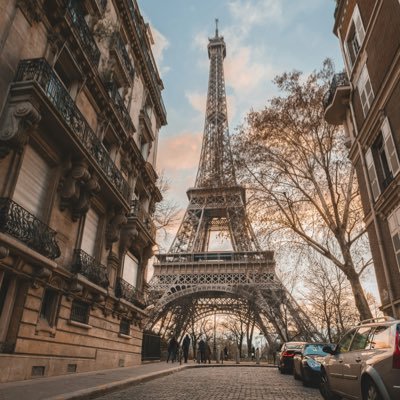 YsfG36's profile picture. 