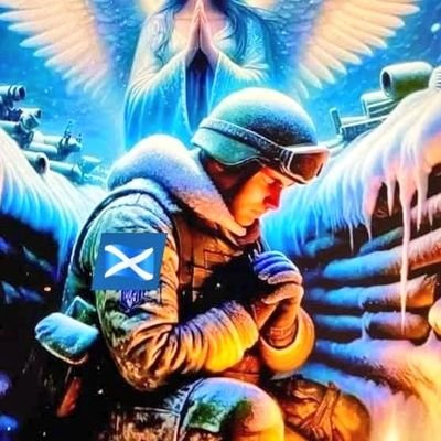 done_bird's profile picture. 