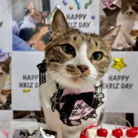 김집사 (@khrizools) 's Twitter Profile
