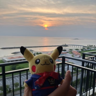 ポケモンめちゃくちゃ好きです イーブイもめちゃくちゃ好きです (フォトナから逃げた男) チーム @ltwshion @inarizushi2011