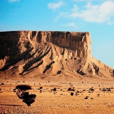 bakran99992's profile picture. سعودي وافتخر