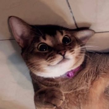 love_leon1001's profile picture. 10vely | TEN LEE รักเตนล์ไม่เจ็บเลยสักวัน เสียแต่เงิน (ทั้งหมดยกให้เตนล์)