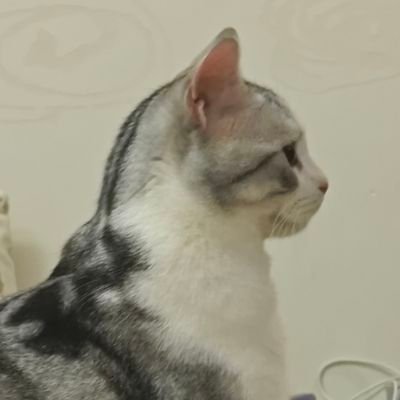 Lianoupian's profile picture. Ranger 2006-2025
