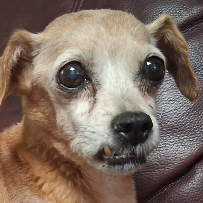 SnekKatie's profile picture. Hi, it's Kate! Adult