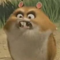 nadjumd's profile picture. blub