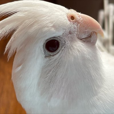 歯科衛生士からのエンジニア転職を夢見てランテックに入学することになりました、TKKです。よろしくお願いします!25↑30↓