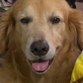 peralespat's profile picture. 777 ;