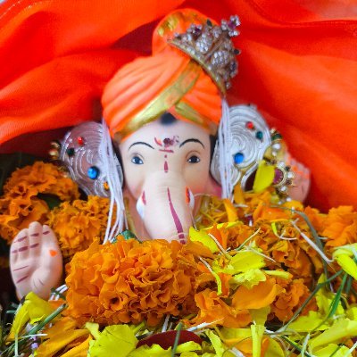 मैत्री हिंदू 🚩 Profile