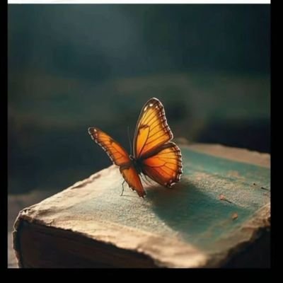 AxAmkHn's profile picture. Pakistan ♥️