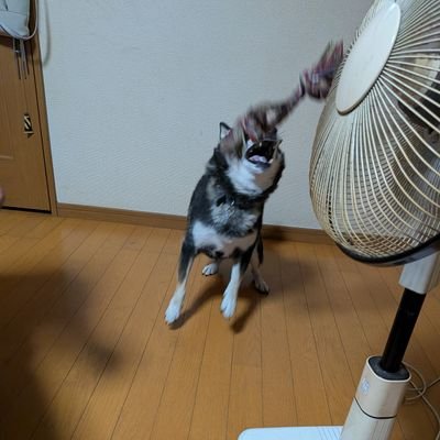 望月❁⃘値下げ交渉◎様 リクエスト 7点 まとめ商品 望月❁⃘値下げ