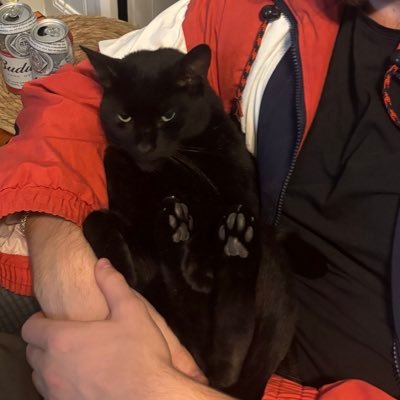 Peter1017339's profile picture. 