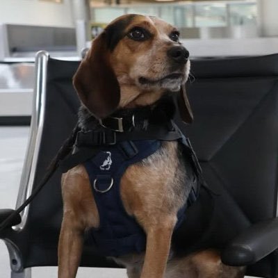 freddiecoincto's profile picture. https://t.co/AUj4OqwiWA                        0x2750D67c7b9a46159FEbFE9461a66ccb81f0363f