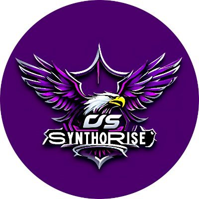 Synthorise's profile picture.