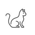 ねことも (@nekotomo2929) 's Twitter Profile