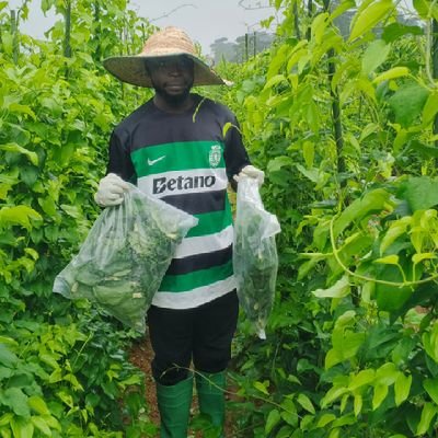 MJermainewrld's profile picture. https://t.co/jdehauAP9A Agronomist 🫒 Researcher ⌛

others!!!
Therapist 
Graphics designer.. 
No such thing as a life that's better than yours 💚💎