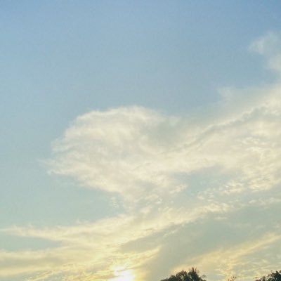 Merda238620's profile picture. 