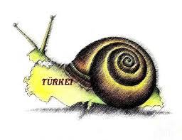 rully_bussines's profile picture. 