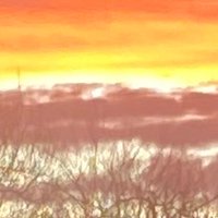 Moribro (@darnobruh) 's Twitter Profile
