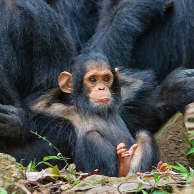 HasanKarta117's profile picture. 