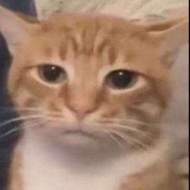 wcbcl's profile picture. My entertainment account
I hate yanderesimulator。。
I'm sorry I always delete my work
have an adult orientation🔞
I only do what I like
bl→gl→gb →bg