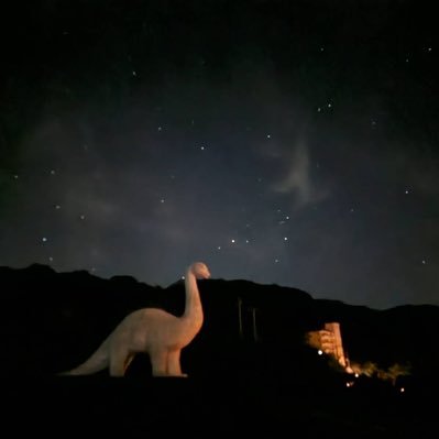 wohYO3yx0Y32566's profile picture. 