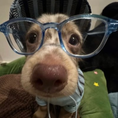 JuzhiY's profile picture. 看币也看股 ｜ 抓热点也挖alpha ｜AI+Crypto最新情报都在这！让你比别人更早一步看到未来