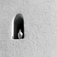 Kelâm-ı Şifa (@kelam_i_sifa) 's Twitter Profile