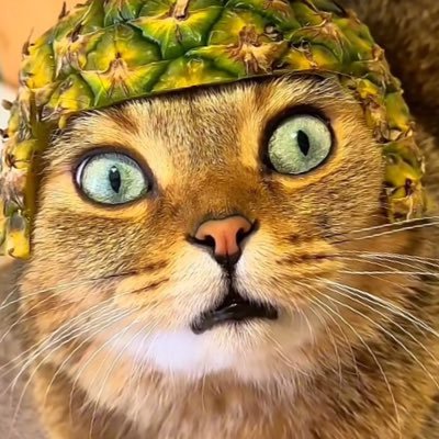 TCGZERO_'s profile picture. ポケカ集め始めました♪ ピカチュウコンプし隊