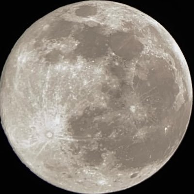 anasvensson333's profile picture. 