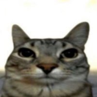 캐리건 (@twinkle857) 's Twitter Profile Photo 캐리건 (@twinkle857) 's Twitter Profile Photo