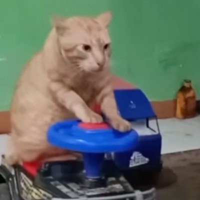 akun ini hanya online saat negara sdg chaos, sisanya hiatus.