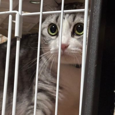 徳島ヴォルティス応援ゴル裏最上段のほんの少し右常に熱く楽しく‼️ちなみにバス釣りしておりますよ。旧吉をホームフィールドにしているので釣り好きの方徳島でバス釣りしている方お気軽にD Mしてください‼️チャリで常に回ってるのでほぼ知り尽くしてます‼️スポーツ好きの方よろしくね😀