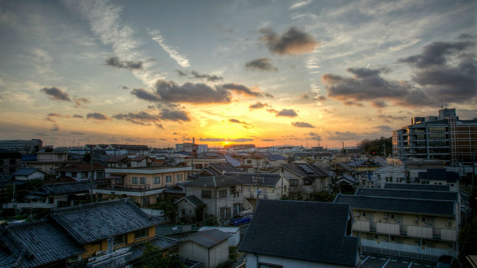 aligater2601's profile picture. "If the shoe fits, wear it