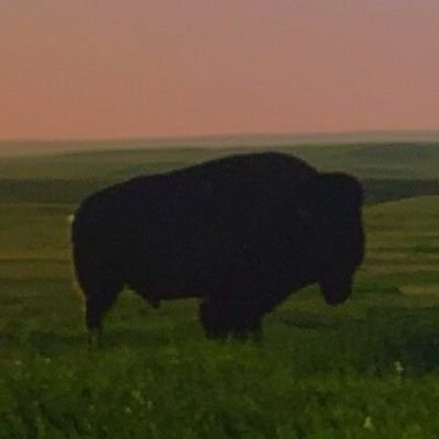 DavidAyers3923's profile picture. Not looking for followers. Not concerned about your liberal feelings, just scroll on.